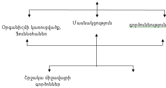 Ներմուծեք նկարագրությունը_2489