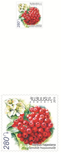 Ներմուծեք նկարագրությունը_9035