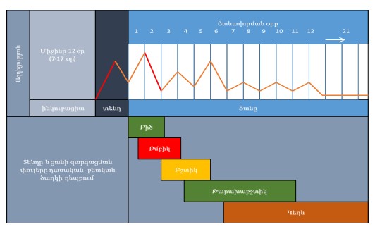 Ներմուծեք նկարագրությունը_20150
