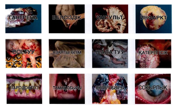 Ներմուծեք նկարագրությունը_21305