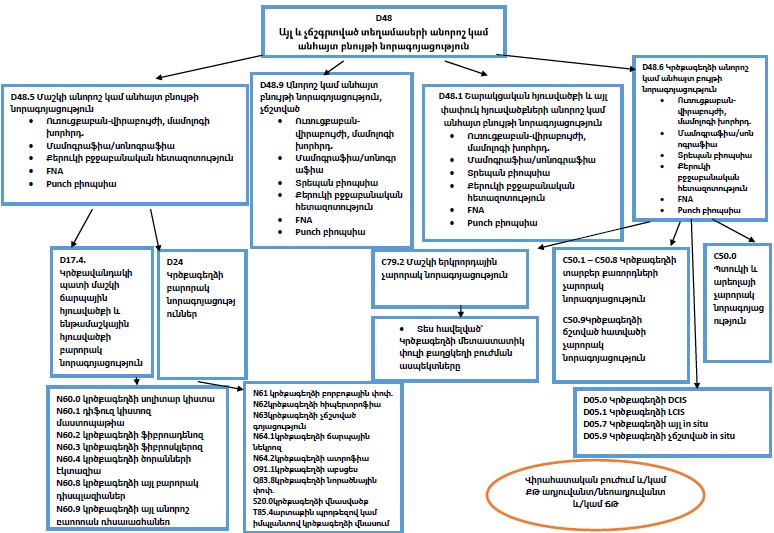 Ներմուծեք նկարագրությունը_24007