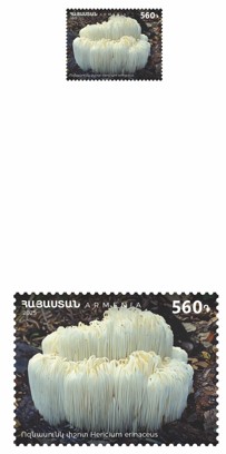 Ներմուծեք նկարագրությունը_24113