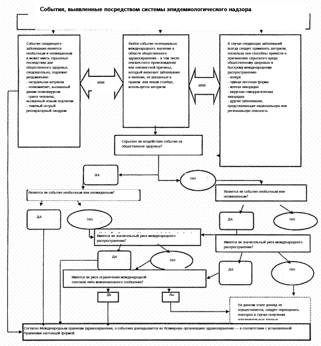 Ներմուծեք նկարագրությունը_24104