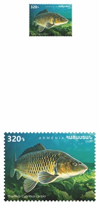 Ներմուծեք նկարագրությունը_24110