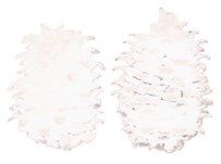 Ներմուծեք նկարագրությունը_24280