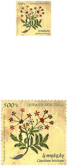 Ներմուծեք նկարագրությունը_24608