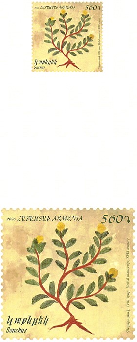 Ներմուծեք նկարագրությունը_24609