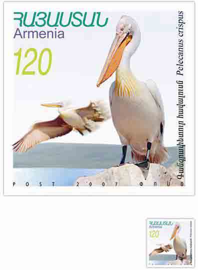 Ներմուծեք նկարագրությունը_12971